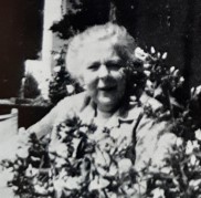 Jeanne  Löhnis